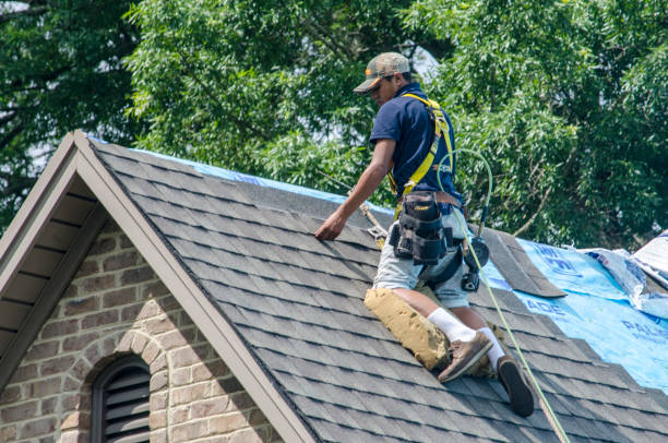 Best Roof Gutter Cleaning  in Archdale, NC